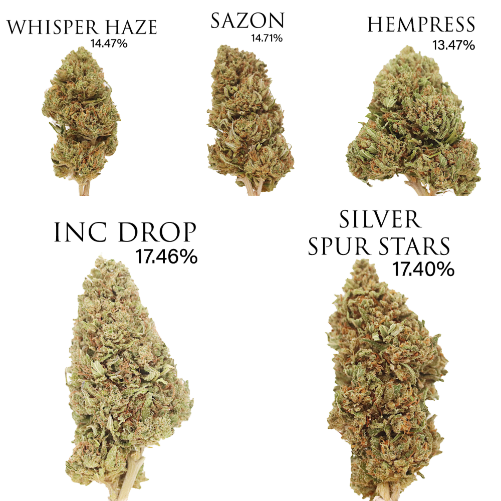 CBD HEMP SAMPLE STRAIN PACK 5 - Thunder Walker Collaboration Ranchera Familia