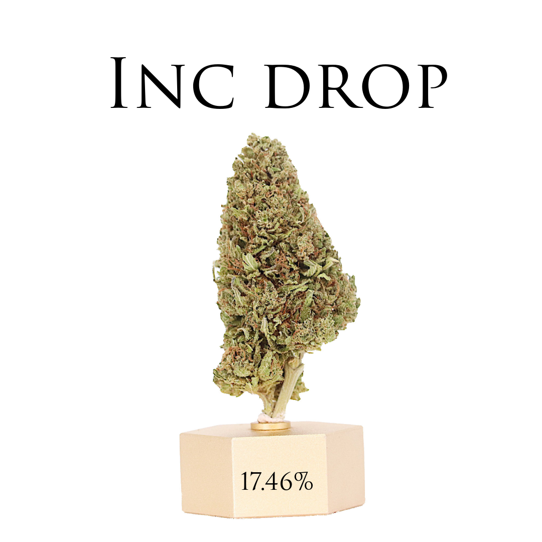 CBD HEMP SAMPLE STRAIN PACK 5 - Thunder Walker Collaboration Ranchera Familia