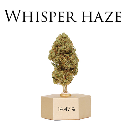 CBD HEMP SAMPLE STRAIN PACK 5 - Thunder Walker Collaboration Ranchera Familia