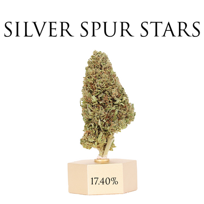 CBD HEMP SAMPLE STRAIN PACK 5 - Thunder Walker Collaboration Ranchera Familia