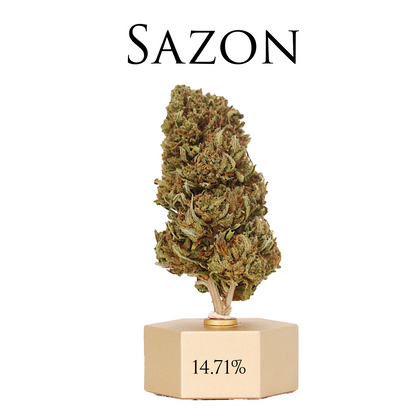 CBD HEMP SAMPLE STRAIN PACK 5 - Thunder Walker Collaboration Ranchera Familia