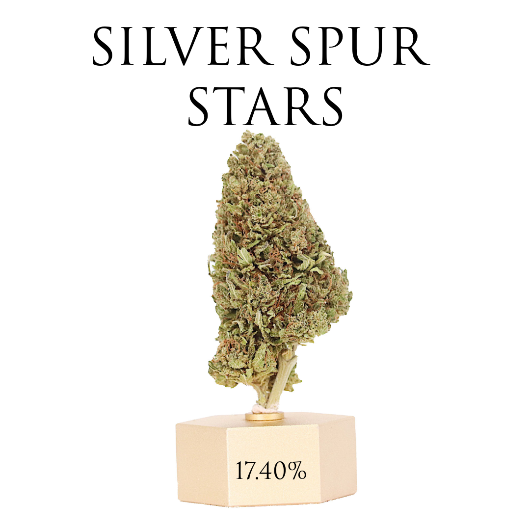 SILVER SPUR STAR Hemp Coalition Worldwide