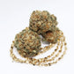 Orange Glaze Feminized CBD Hemp Seeds The Botanical Joint