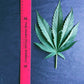 PRESSED HEMP LEAVES The Botanical Joint
