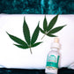 PRESSED HEMP LEAVES The Botanical Joint