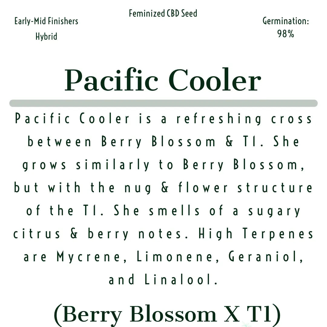 Pacific Cooler Feminized CBD Hemp Seeds [20 Pack] The Botanical Joint