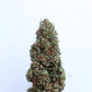 Ranchera Tingz Feminized CBD Hemp Seeds The Botanical Joint