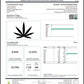 Ranchera Tingz Feminized CBD Hemp Seeds The Botanical Joint