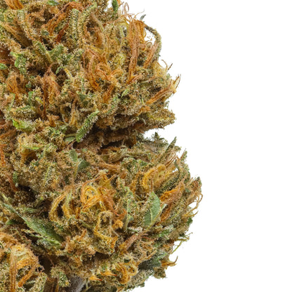 Sancho CBD Flower 16.73% Hemp Coalition Worldwide