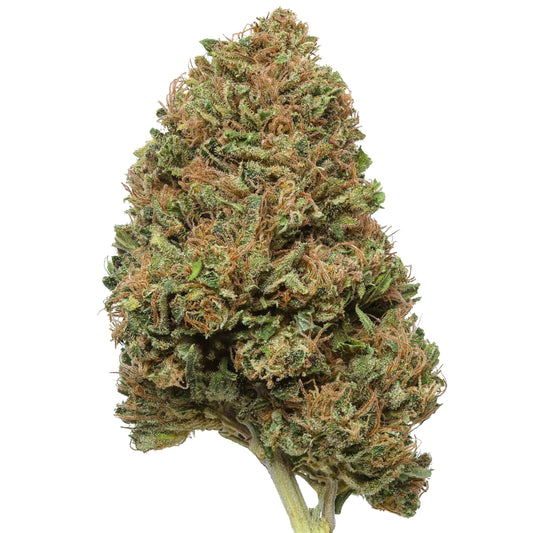 Sazon CBD Flower 14.71% CBD Hemp Coalition Worldwide