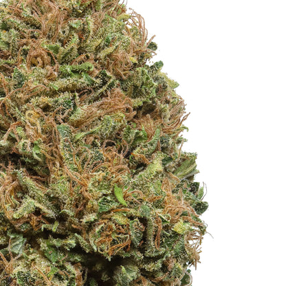Sazon CBD Flower 14.71% CBD Hemp Coalition Worldwide