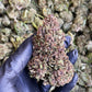 Shaolin Gleaux 15.18% CBD Hemp Coalition Worldwide