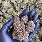 Shaolin Gleaux 15.18% CBD Hemp Coalition Worldwide