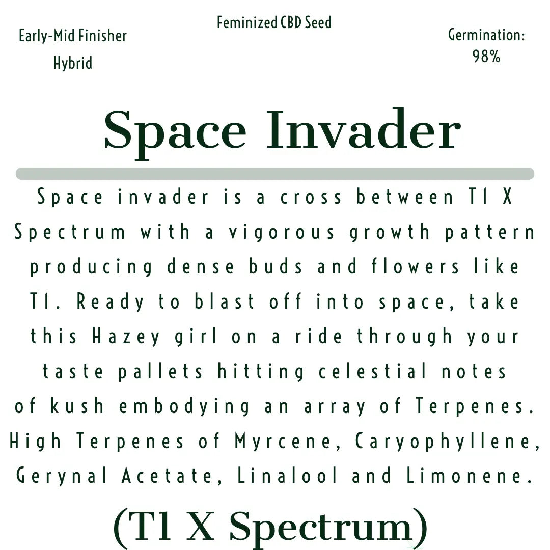 Space Invader Feminized CBD Hemp Seeds The Botanical Joint