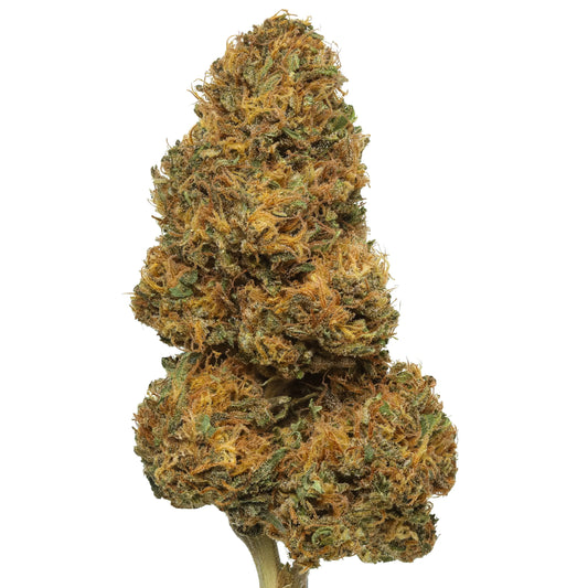 Tangie CBD Flower 14.85% CBD Hemp Coalition Worldwide