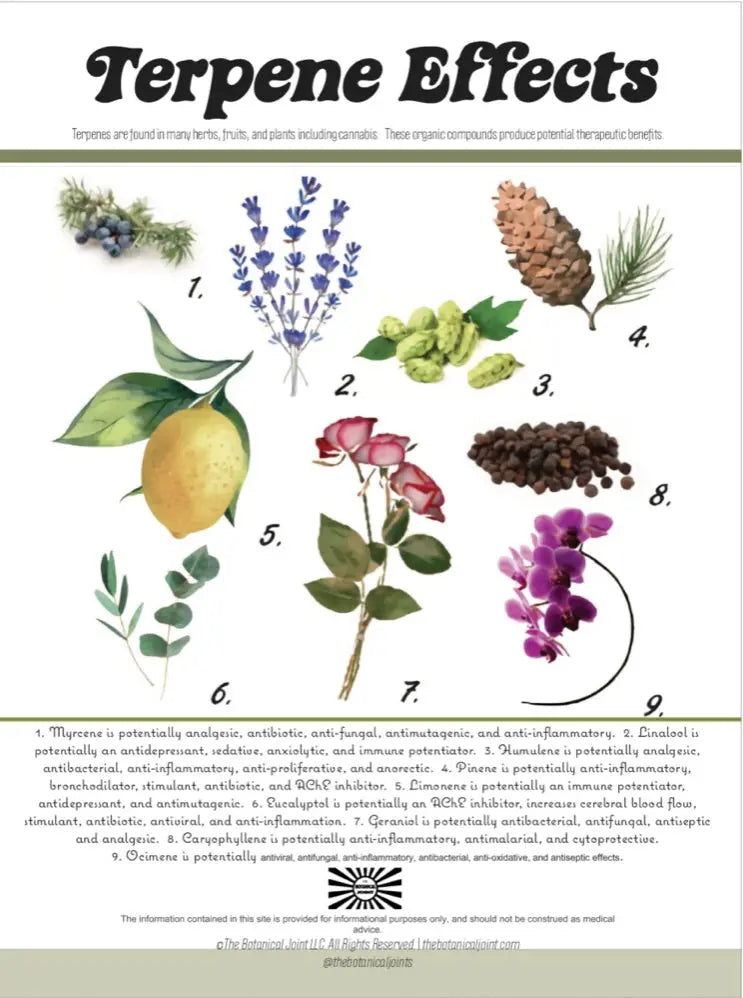 Two Part Printed Poster: Cannabis Terpenes+Terpene Effects The Botanical Joint