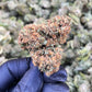 WAP 15.52% CBD Hemp Coalition Worldwide
