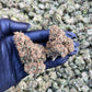 WAP 15.52% CBD Hemp Coalition Worldwide