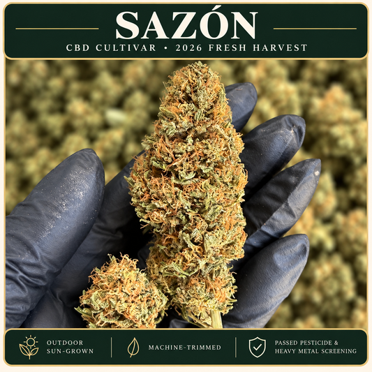 Sazón — CBD Cultivar | 2026 Fresh Harvest Hemp Coalition Worldwide